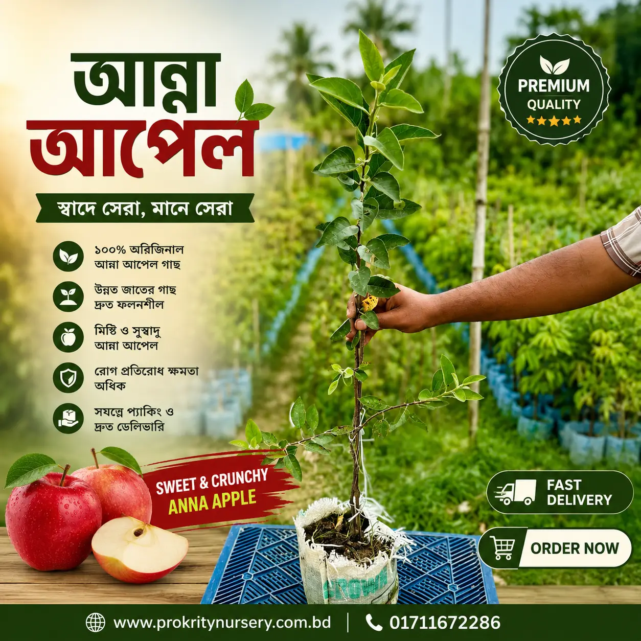 আন্না আপেল (Anna Apple)