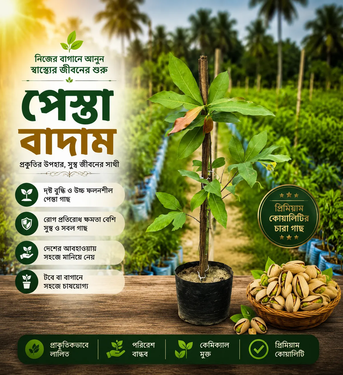 পেস্তা বাদাম