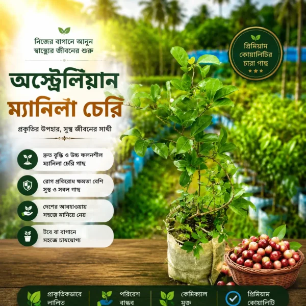 ম্যানিলা চেরি(Manila Cherry)