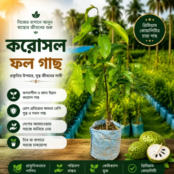 করসল ফল (Corossol Fruit) 