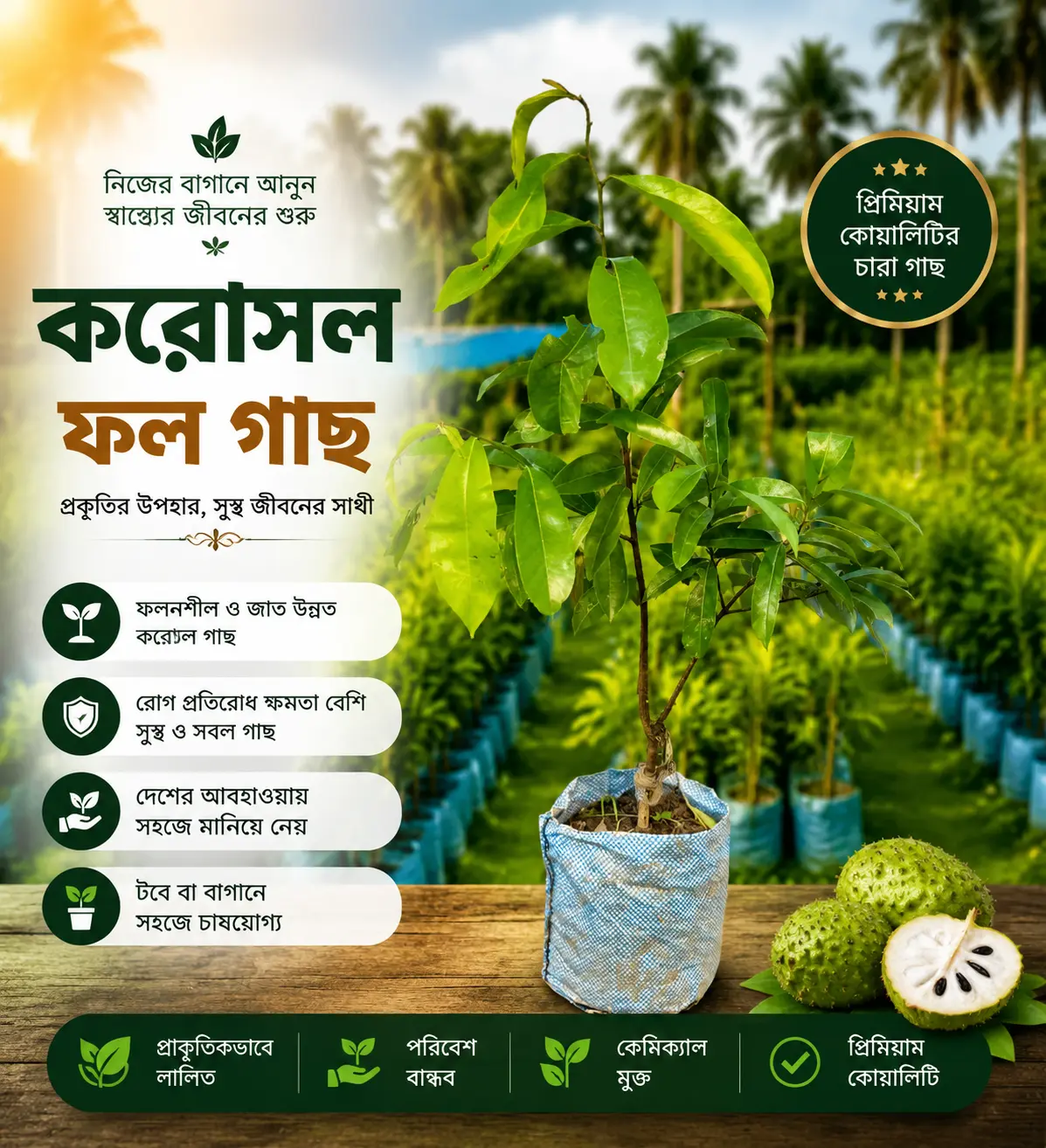 করসল ফল (Corossol Fruit)