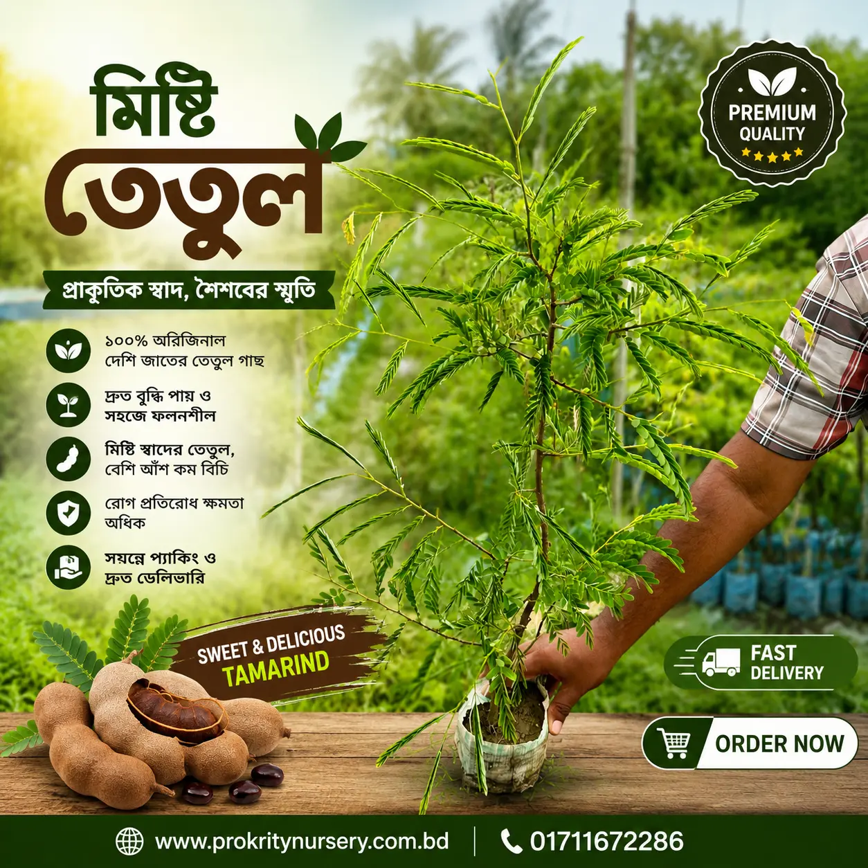 মিষ্টি তেঁতুল