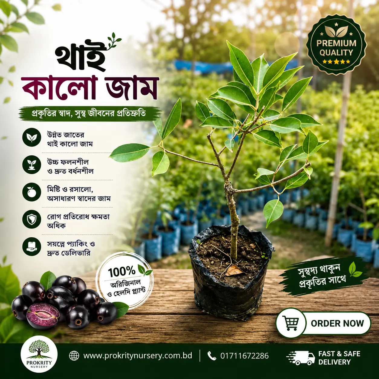 কালো জাম (Jamun)