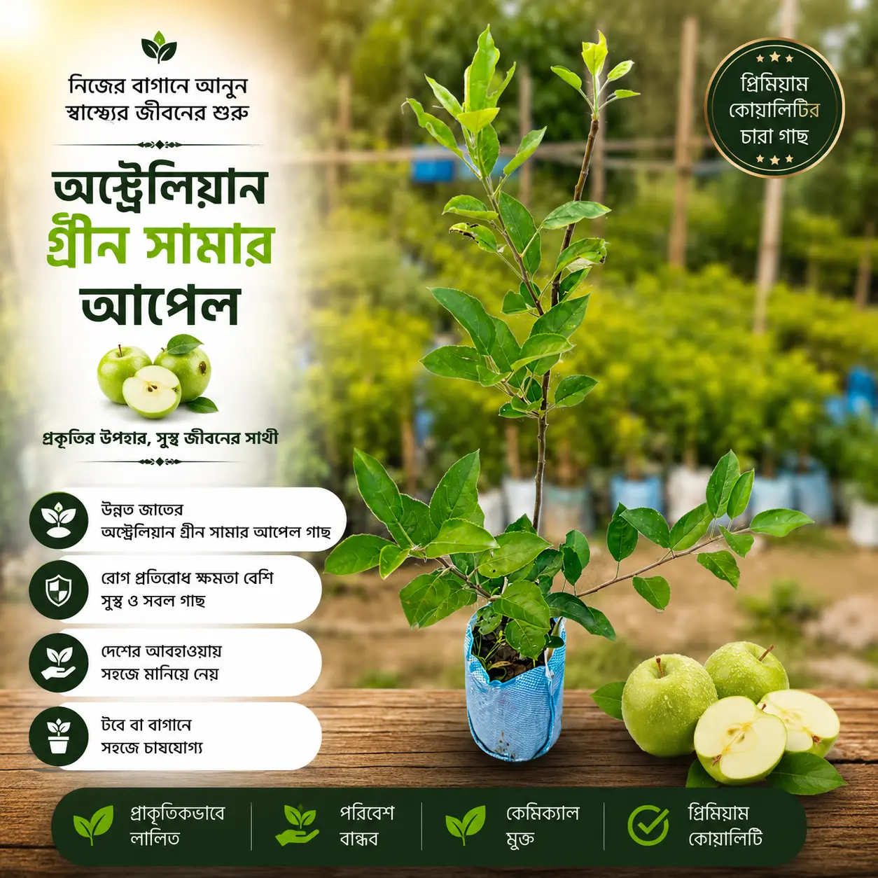 সামার আপেল