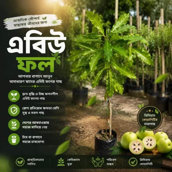 এবিউ ফল (Abiu)