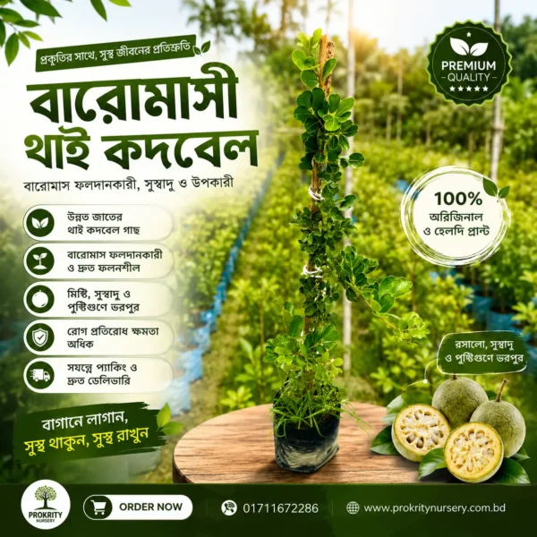 বারোমাসি থাই কদবেল