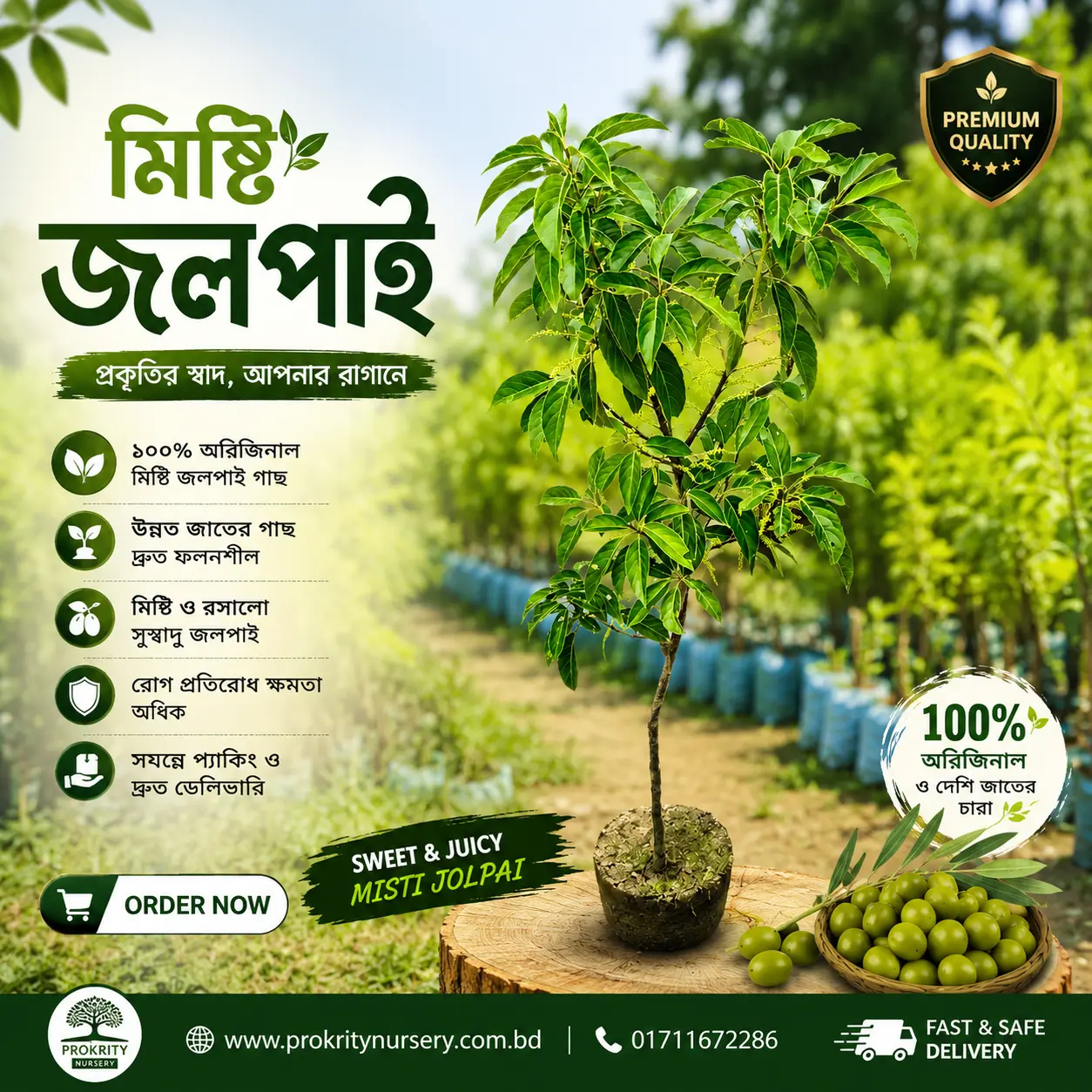 মিষ্টি জলপাই