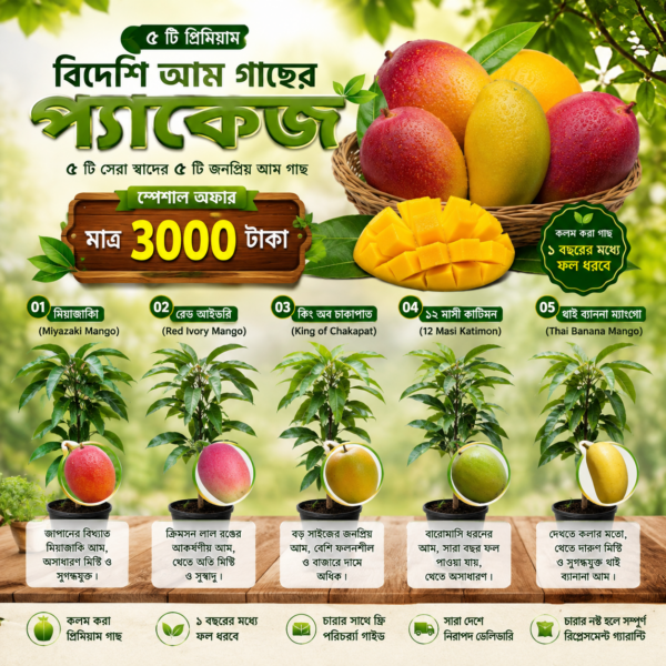 ৫ টি প্রিমিয়াম বিদেশি রঙিন আম প্যাকেজ
