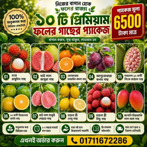 10 tree Seedlings Combo Package