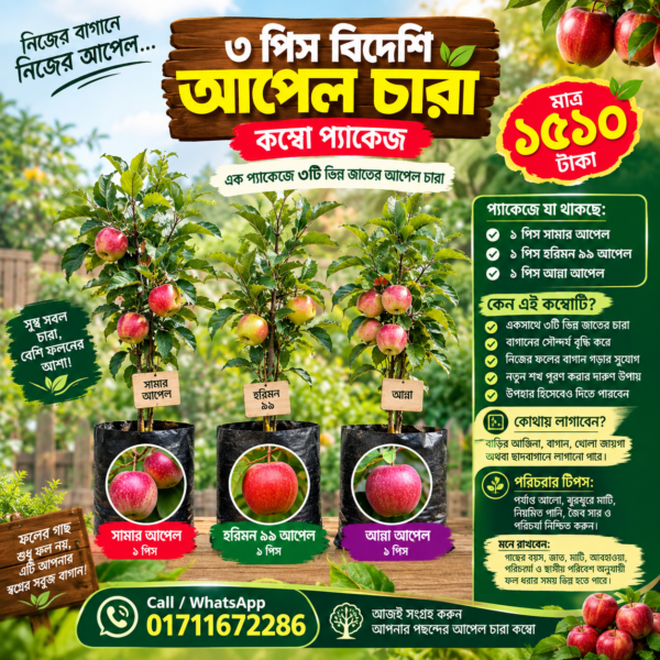 Apple Saplings Combo Packages